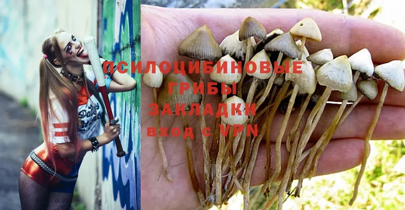 Псилоцибиновые грибы Magic Shrooms  купить наркоту  Ишим 